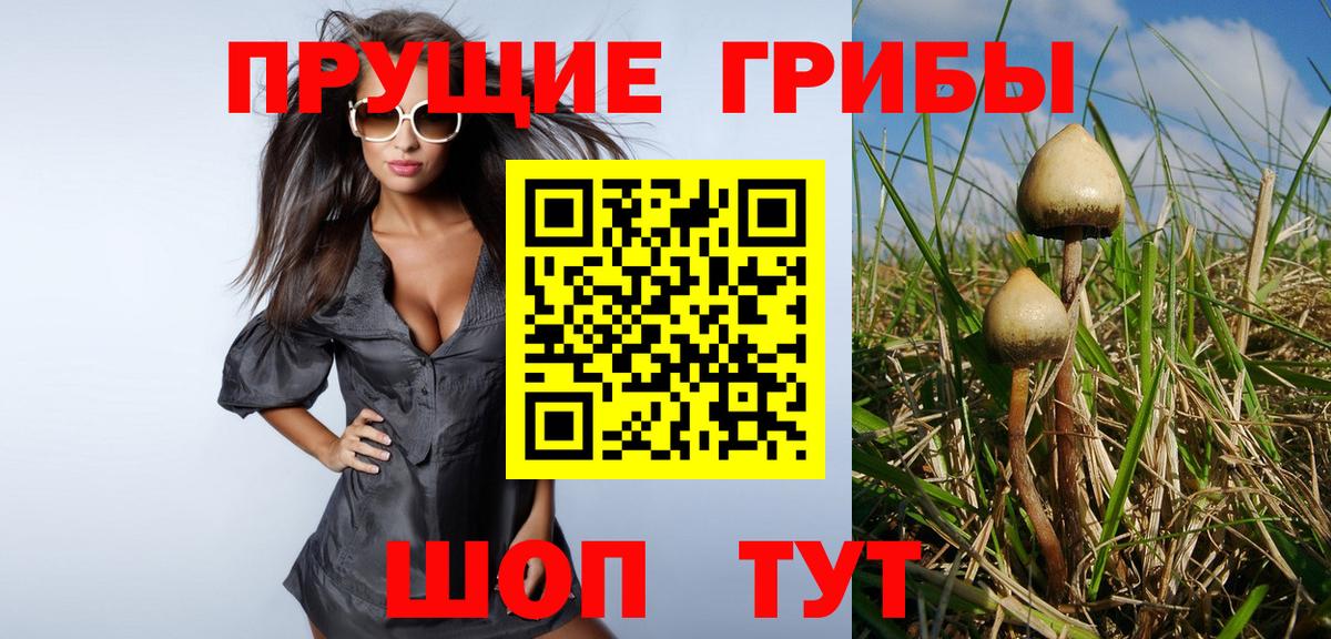 Галлюциногенные грибы MAGIC MUSHROOMS Красноуфимск